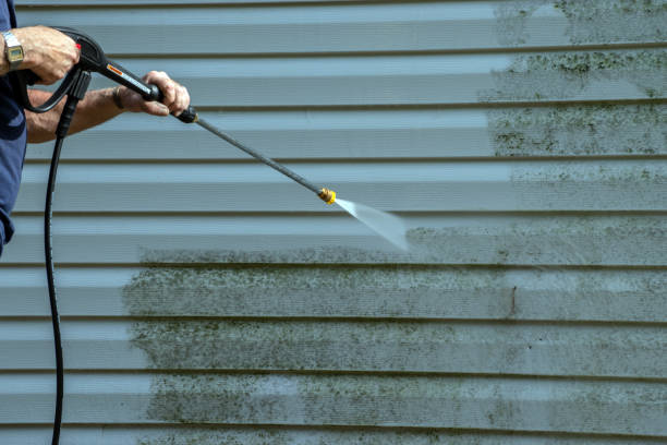 Trusted Olive Hill, KY Pressure Washing Experts